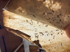 古い紙が手に持たれ、表面にシミや汚れが見える。